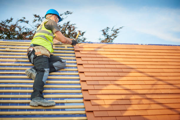 Best Roof Maintenance and Cleaning  in Moses Lake, WA